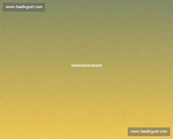 山东东阿阿胶队德清收官砺兵 淬火重生再战山城