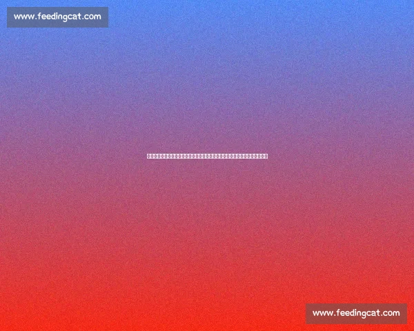 国足出线反转传闻破灭！印尼归化合规铁证如山，名记：无证据的狂欢该落幕了