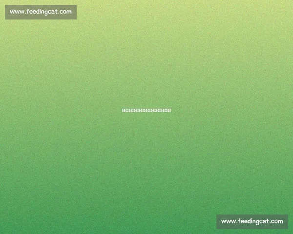 吾米提江谈场地应对：简洁出球是后卫必修课