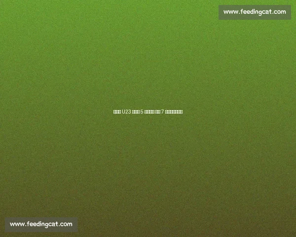 王钰栋 U23 替补造 5 球掀狂潮 中超 7 球见证全能成长