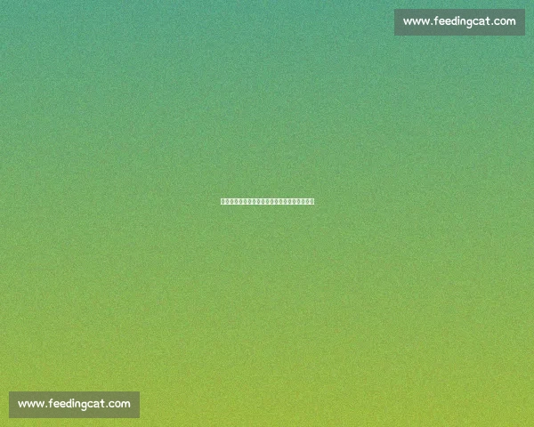 解码成都世运会：科技、生态与文化的多维交响