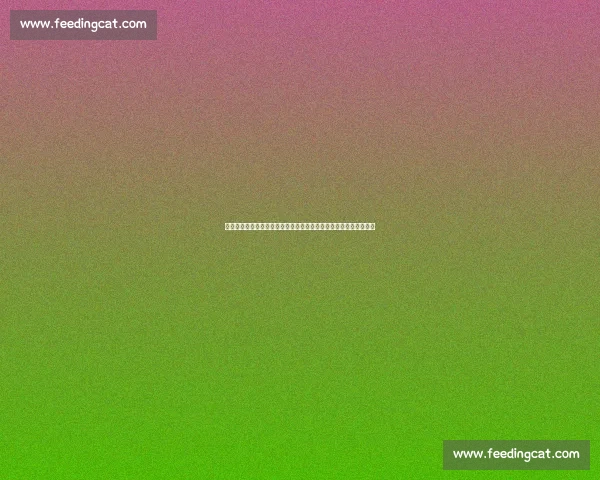 湖人对阵热火第三场全场回放精彩瞬间与战术解析关键球星表现复盘 湖人对阵热火第三场全场回放精彩瞬间与战术解析关键球星表现复盘