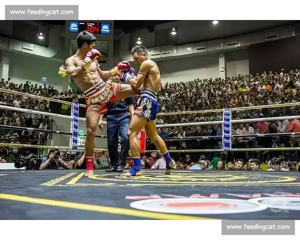 拳王皮特vs托尼巅峰对决：荣耀之战引爆全球拳坛传奇宿命再续夜战