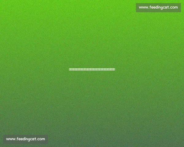 欧冠焦点对决曼城迎战多特蒙德强强碰撞看点十足攻防博弈豪门之争