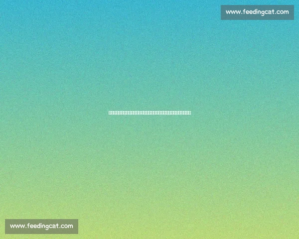 西班牙对阵意大利精彩回放全场关键瞬间深度解析战术博弈与球星表现盘点