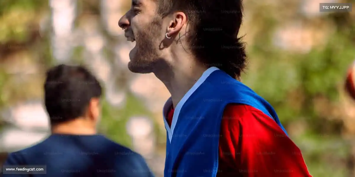 为什么选择我们