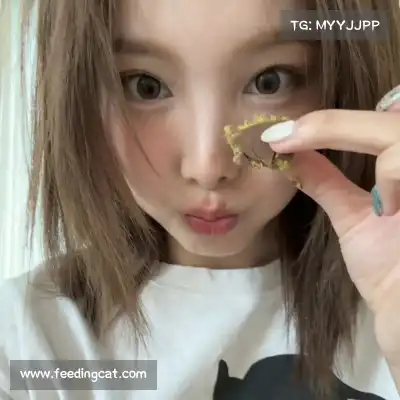 虞凡珣